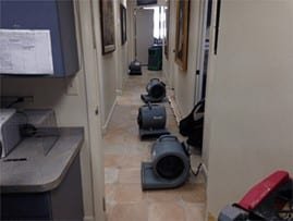floor drying site during mold remediation in the bronx, ny