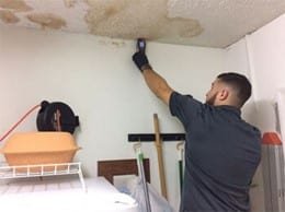 Mold inspection in The Bronx, NY 10451