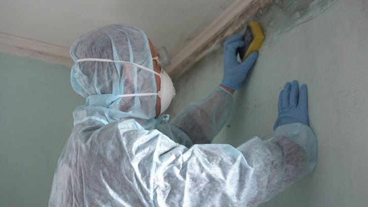 Removing mold from wall near ceiling in Union City, NJ 07087