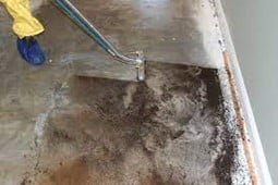 Sewage Cleanup Services in Bayonne, NJ