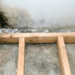outdoor wall with mold growth
