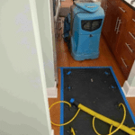 Water Damage Prevention Tips