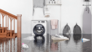 Possible Hazards by Floodwater Color