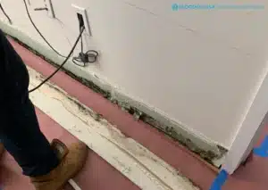 mold damage under baseboard