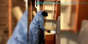 basement mold inspection and removal being performed by floodco technician.