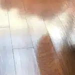 picture of wooden floors that have been handled like a pro