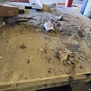 Flood-affected dirty workbench in a New Jersey mechanical shop.