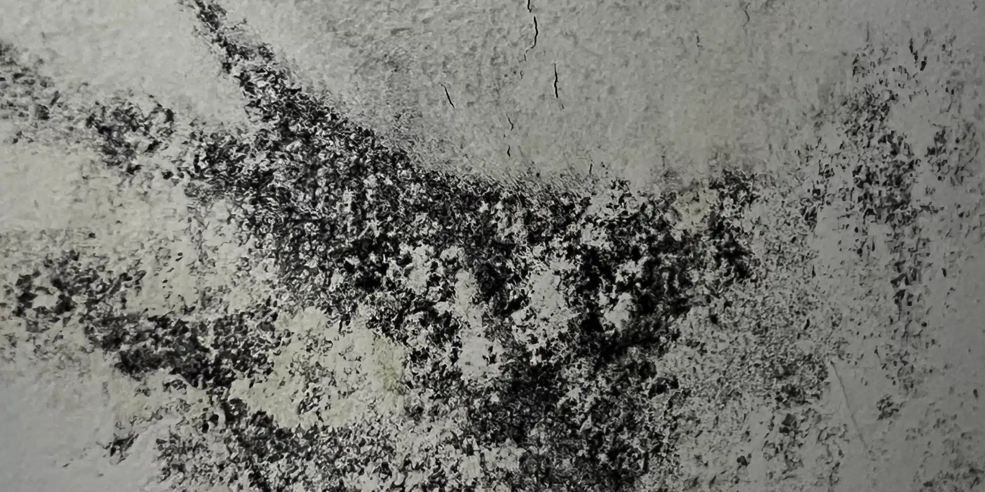 Close-up view of a wall surface covered in patchy black mold, showcasing various stages of growth and infestation across the texture